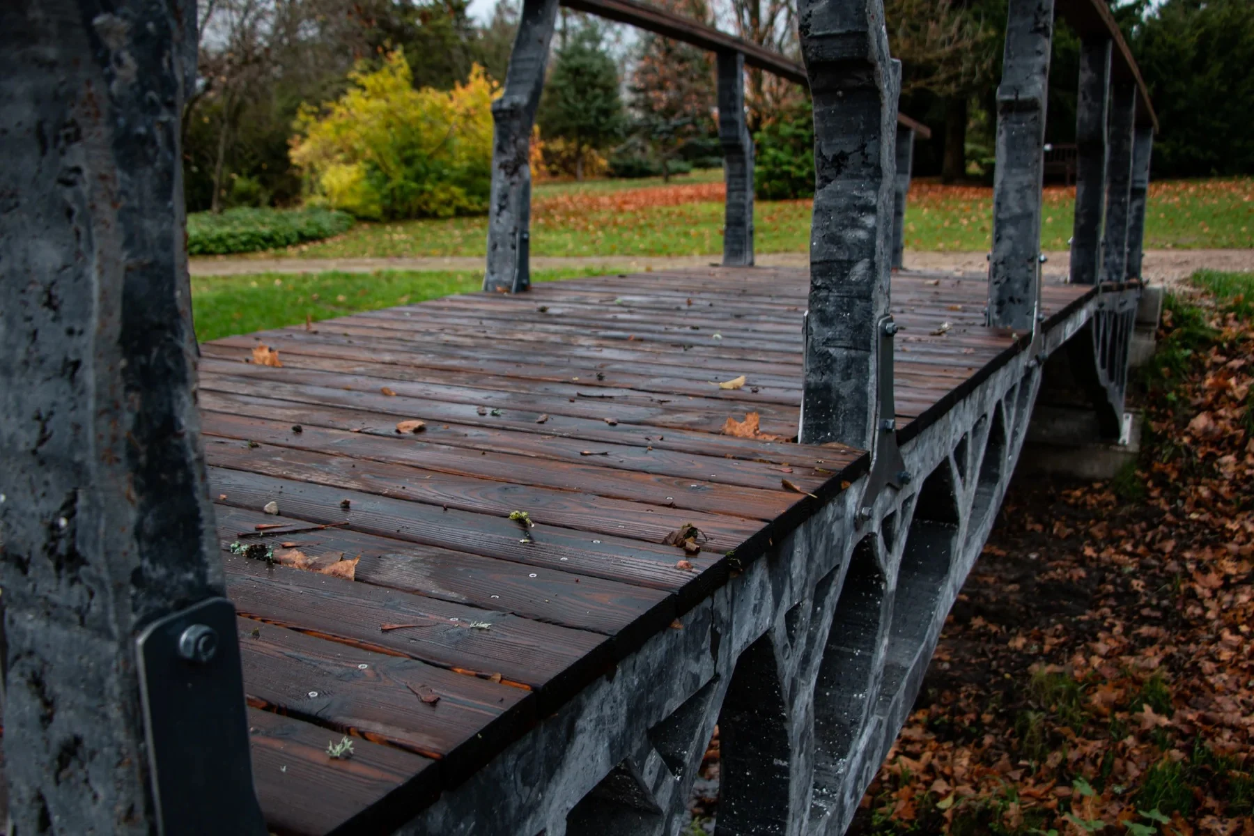 Charred Wood Interior