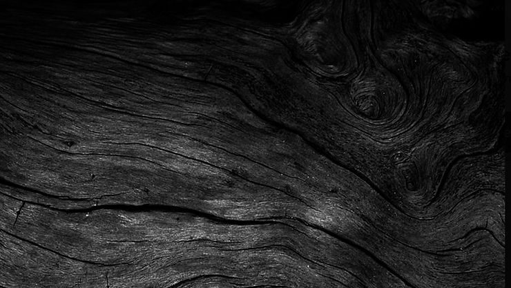 Black Larch Cladding