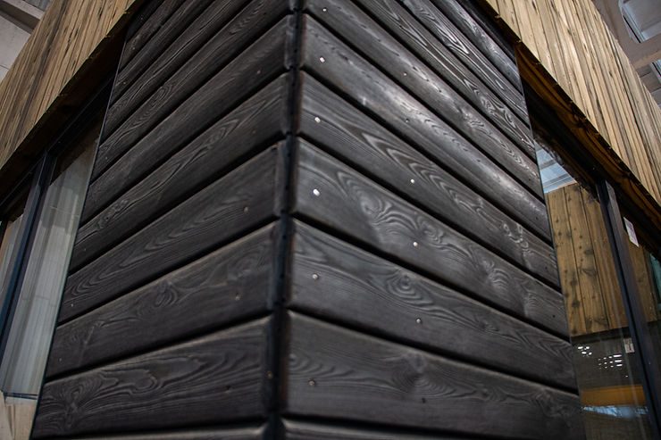 Black Larch Cladding