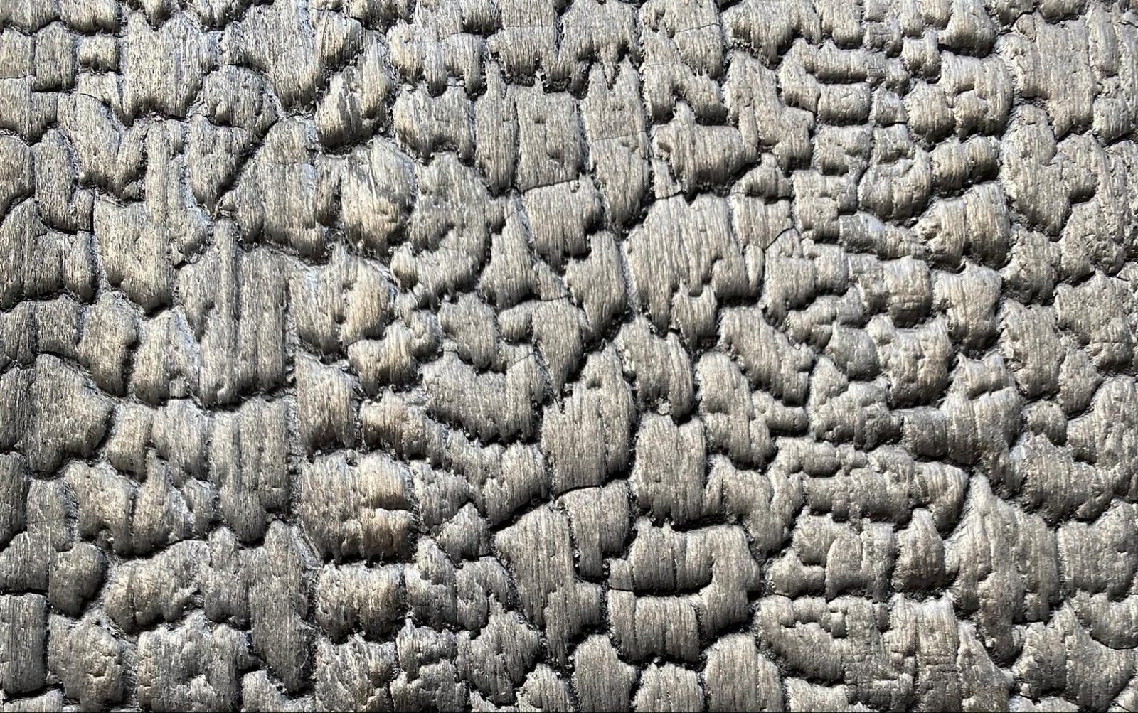 Charred Timber Cladding: Benefits, Uses and Design Ideas