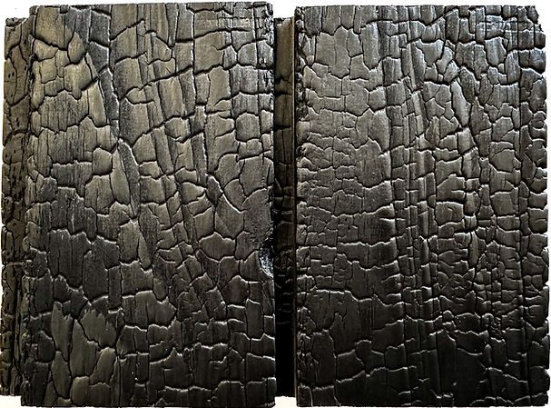 Charred Wood