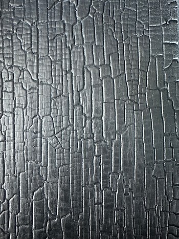Shou Sugi Ban Wood: The Ultimate Guide to Charred Wood Siding